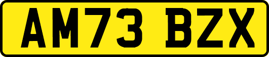 AM73BZX
