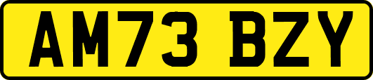 AM73BZY