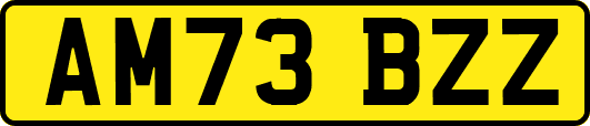 AM73BZZ