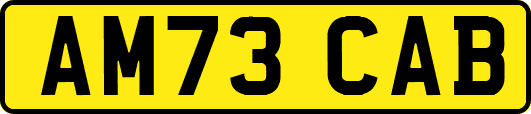 AM73CAB