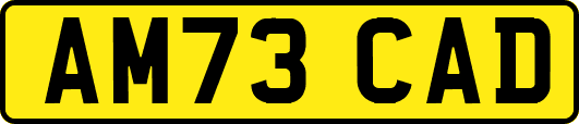 AM73CAD