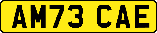 AM73CAE