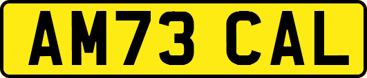 AM73CAL
