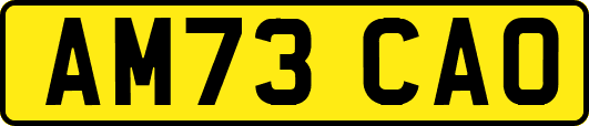 AM73CAO