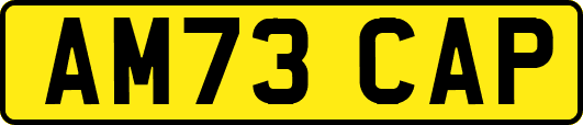AM73CAP