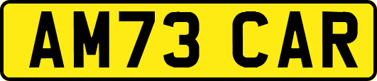 AM73CAR