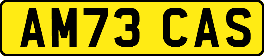 AM73CAS