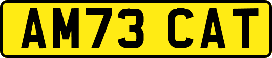 AM73CAT