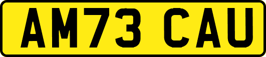 AM73CAU