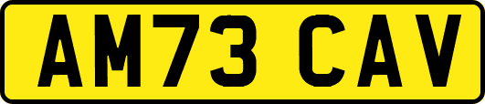 AM73CAV