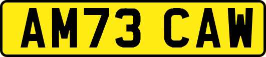 AM73CAW