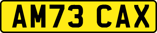 AM73CAX