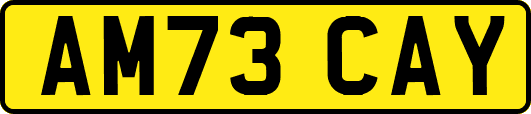 AM73CAY