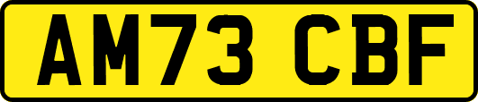 AM73CBF
