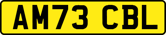 AM73CBL
