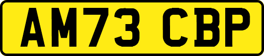 AM73CBP