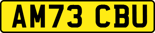 AM73CBU