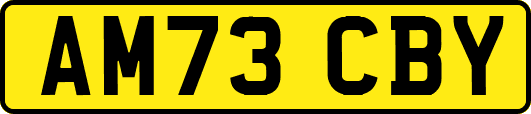 AM73CBY