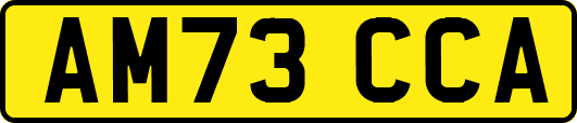 AM73CCA