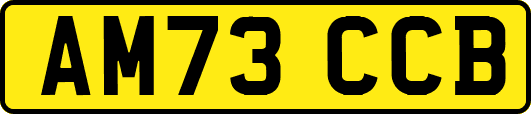 AM73CCB