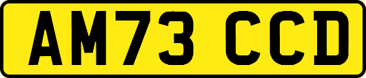 AM73CCD