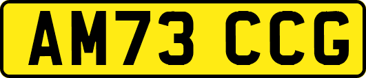 AM73CCG