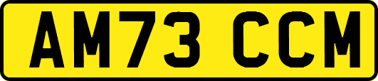 AM73CCM