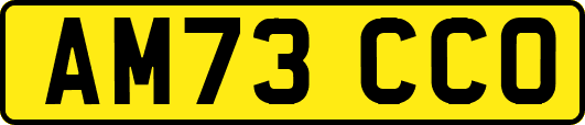 AM73CCO