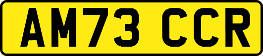 AM73CCR