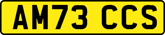 AM73CCS