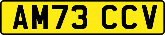 AM73CCV