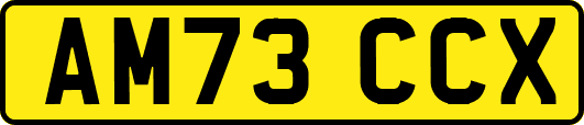 AM73CCX