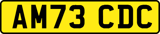 AM73CDC