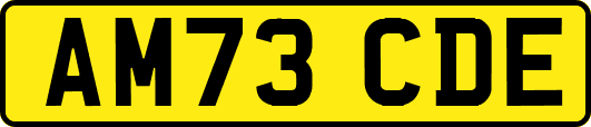 AM73CDE