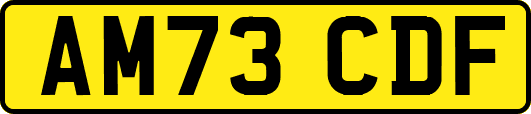 AM73CDF