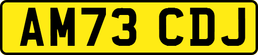 AM73CDJ