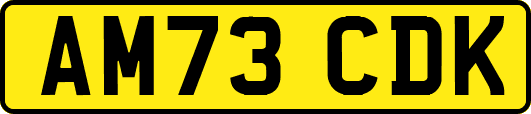 AM73CDK