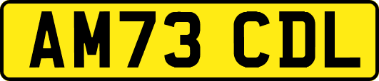 AM73CDL