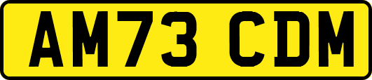 AM73CDM