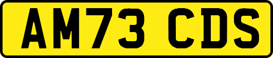 AM73CDS