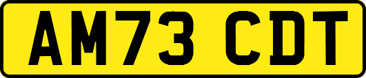 AM73CDT