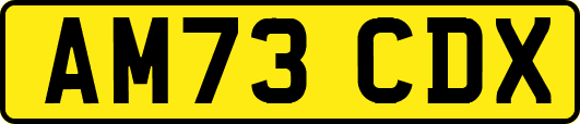 AM73CDX