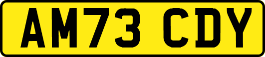 AM73CDY