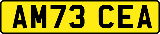 AM73CEA