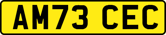 AM73CEC