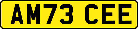 AM73CEE