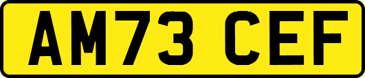 AM73CEF