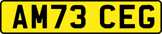 AM73CEG