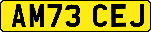 AM73CEJ
