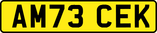 AM73CEK